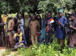 BREAKING: Bandits Attack Sokoto Community, Leave Multiple People Dead, Several Others Injured