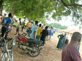 BREAKING: Bandits Attack Kwara Community, Kill Woman, Abduct Resident As Villagers Flee Into Bushes