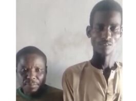 Katsina Vigilantes Arrest Two Suspected Ammunition Suppliers For Bandit Leader, Kachalla Maha